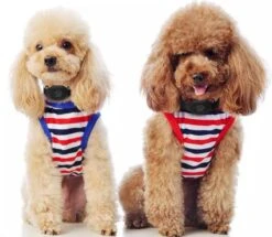 Reptrek® Minitrek GPS Tracker Voor Hond En Kat - Blauw - 4.9 X 3.3 X 1.5 Cm -Huisdierbenodigdheden Korting 1200x1045 3