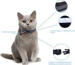 Kattenhalsband Veiligheidssluiting Kattenbandje Kitten Halsband Katten Halsband Reflecterend Verstelbaar 18-32Cm – Zwart -Huisdierbenodigdheden Korting 1200x1047 12