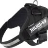 Julius K9 Julius-K9 IDC®Powertuig, 2XL - Maat 3, Zwart -Huisdierbenodigdheden Korting 1200x1051 2