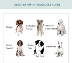 PawHut Hondenbox Inklapbare Hondentransportbox Dier 2 Kleuren 5 Maten 1O-T46O-R3DG-2 -Huisdierbenodigdheden Korting 1200x1051 5