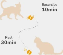 Cheerble Mini Ball 2.0 - Slimme Interactieve Zelf Rollende Bal Voor Katten - 3 Speelmodi - Kattenspeeltjes - USB Oplaadbaar - Rood 16 Cheerble Mini Ball 2.0 - Slimme Interactieve Zelf Rollende Bal Voor Katten - 3 Speelmodi - Kattenspeeltjes - USB Oplaadbaar - Rood -Huisdierbenodigdheden Korting 1200x1051 8