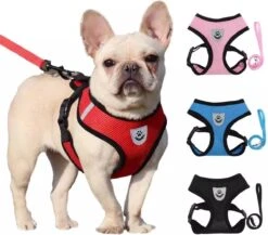 Zavelo® Honden Tuigje - Puppy En Kattentuigje - Hondenharnas - Reflecterend - Incl. Bijpassend Riempje - Zwart-Maat: S -Huisdierbenodigdheden Korting 1200x1053 8