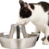 PetSafe® Seaside Stainless Steel Pet Fountain - RVS Drinkfontein Voor Katten En Kleine Honden - Water Borrelt Zacht Over De Toren - Door Het Design Van Alle Kanten Bereikbaar - 1,8 Liter - PetSafe Seaside -Huisdierbenodigdheden Korting 1200x1055 6
