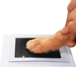 Merkloos Paw Print Pad - Pootafdruk Maken Van Hond Of Kat -Huisdierbenodigdheden Korting 1200x1060 5
