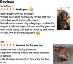 Bugalugs - Hondenshampoo - One In A Million - Alle Vachttypes - Fles Met Pompje - Vegan - 500 Ml -Huisdierbenodigdheden Korting 1200x1061 2