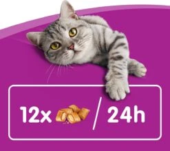 Whiskas Temptations Kattensnacks - Kip En Kaas - 8 X 60 Gr 12 Whiskas Temptations Kattensnacks - Kip En Kaas - 8 X 60 Gr -Huisdierbenodigdheden Korting 1200x1064 12