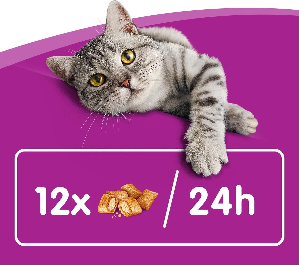Whiskas Temptations Kattensnacks - Kip En Kaas - 8 X 60 Gr 7 Whiskas Temptations Kattensnacks - Kip En Kaas - 8 X 60 Gr - Image 5