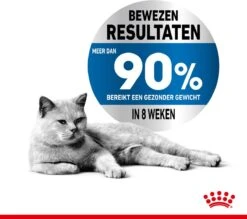 Royal Canin Light Weight Care - 1.5 Kg -Huisdierbenodigdheden Korting 1200x1064 9