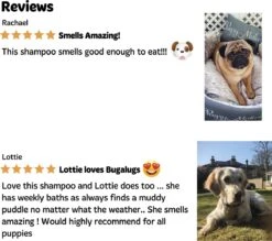 Bugalugs - Hondenshampoo - One In A Million - Alle Vachttypes - Fles Met Pompje - Vegan - 500 Ml -Huisdierbenodigdheden Korting 1200x1066