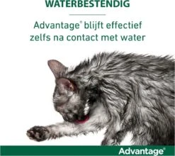 Bayer Advantage 40 Tegen Vlooien - <4kg - 4 X 0,4 Ml - Adult -Huisdierbenodigdheden Korting 1200x1069 9