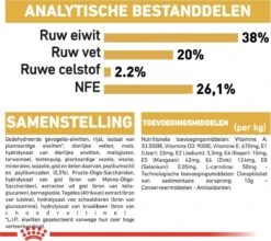 Royal Canin British Shorthair Kitten - 2 Kg -Huisdierbenodigdheden Korting 1200x1070 20