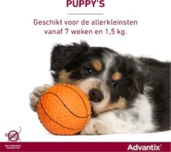 Bayer Advantix Vlooien & Teken Pipetten - Hond Tot 4Kg - 6 Stuks -Huisdierbenodigdheden Korting 1200x1071 2
