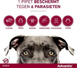 Bayer Advantix Spot-on 400/2000 25+ Kg - 4 Pipetten -Huisdierbenodigdheden Korting 1200x1071 4