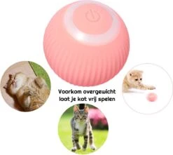 Otiume Slimme Katten Speeltje - Interactieve Zelf Rollende Bal Voor Katten - Kattenspeeltjes - USB Oplaadbaar- Turquoise 14 Otiume Slimme Katten Speeltje - Interactieve Zelf Rollende Bal Voor Katten - Kattenspeeltjes - USB Oplaadbaar- Turquoise -Huisdierbenodigdheden Korting 1200x1072 13