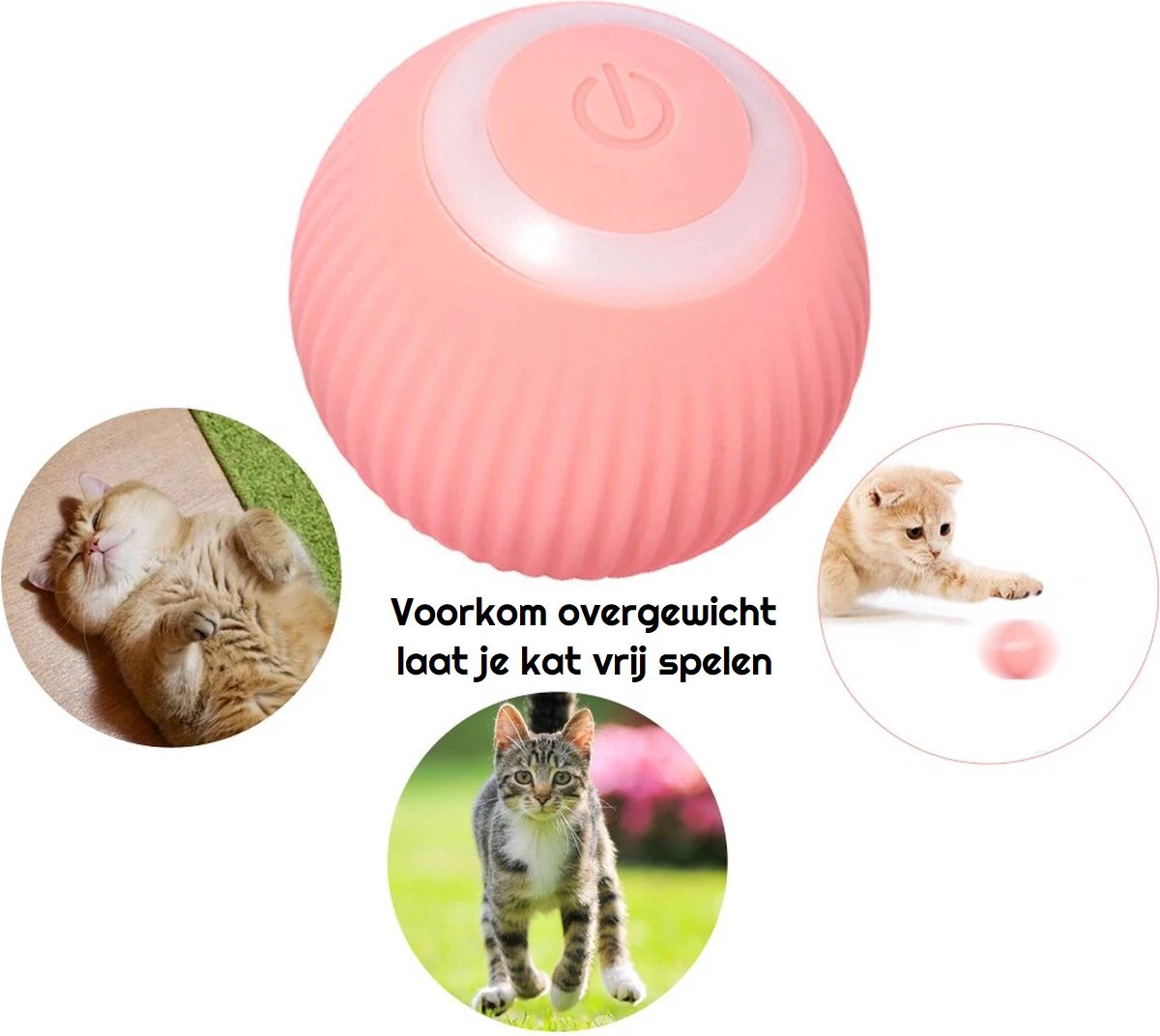 Otiume Slimme Katten Speeltje - Interactieve Zelf Rollende Bal Voor Katten - Kattenspeeltjes - USB Oplaadbaar- Turquoise 7 Otiume Slimme Katten Speeltje - Interactieve Zelf Rollende Bal Voor Katten - Kattenspeeltjes - USB Oplaadbaar- Turquoise - Image 5
