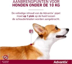 Bayer Advantix Vlooien & Teken Pipetten - Hond Tot 4Kg - 6 Stuks -Huisdierbenodigdheden Korting 1200x1072 4