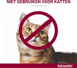 Bayer Advantix Vlooien & Teken Pipetten - Hond Tot 4Kg - 6 Stuks -Huisdierbenodigdheden Korting 1200x1072 5