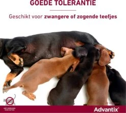 Bayer Advantix Spot-on 400/2000 25+ Kg - 4 Pipetten -Huisdierbenodigdheden Korting 1200x1072 8