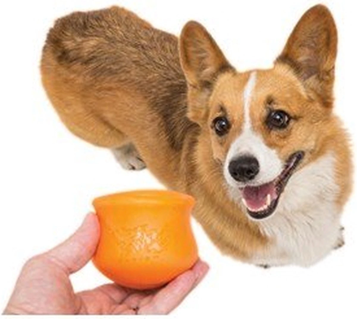 West Paw Toppl Zogoflex - Uitdagend En Sterk Speelgoed Voor Honden - Slowfeeder - Vulbaar Met Voer Of Snacks - Kleur: Groen, Maat: Large 17 West Paw Toppl Zogoflex - Uitdagend En Sterk Speelgoed Voor Honden - Slowfeeder - Vulbaar Met Voer Of Snacks - Kleur: Groen, Maat: Large - Image 15