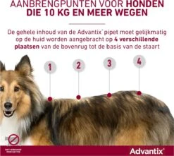 Bayer Advantix Spot-on 400/2000 25+ Kg - 4 Pipetten -Huisdierbenodigdheden Korting 1200x1073 8
