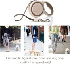 Hondenriem - Leiband Hond - Rollijn - 5 Meter - Beige - Riem Met Oprolsysteem - Hondenriem Flexi - Hondenlijn - Uitlaatriem -Huisdierbenodigdheden Korting 1200x1077 2
