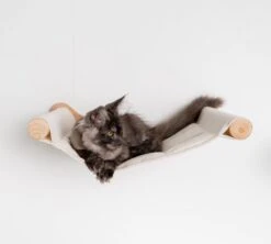 RHRQuality Wandmeubel Wandmontage Klimmuur Kat 53 X 43cm Luxe Hangmat XXL Creme Klim Wand Muur Krabpaal Katten Muurbevestiging -Huisdierbenodigdheden Korting 1200x1080 10