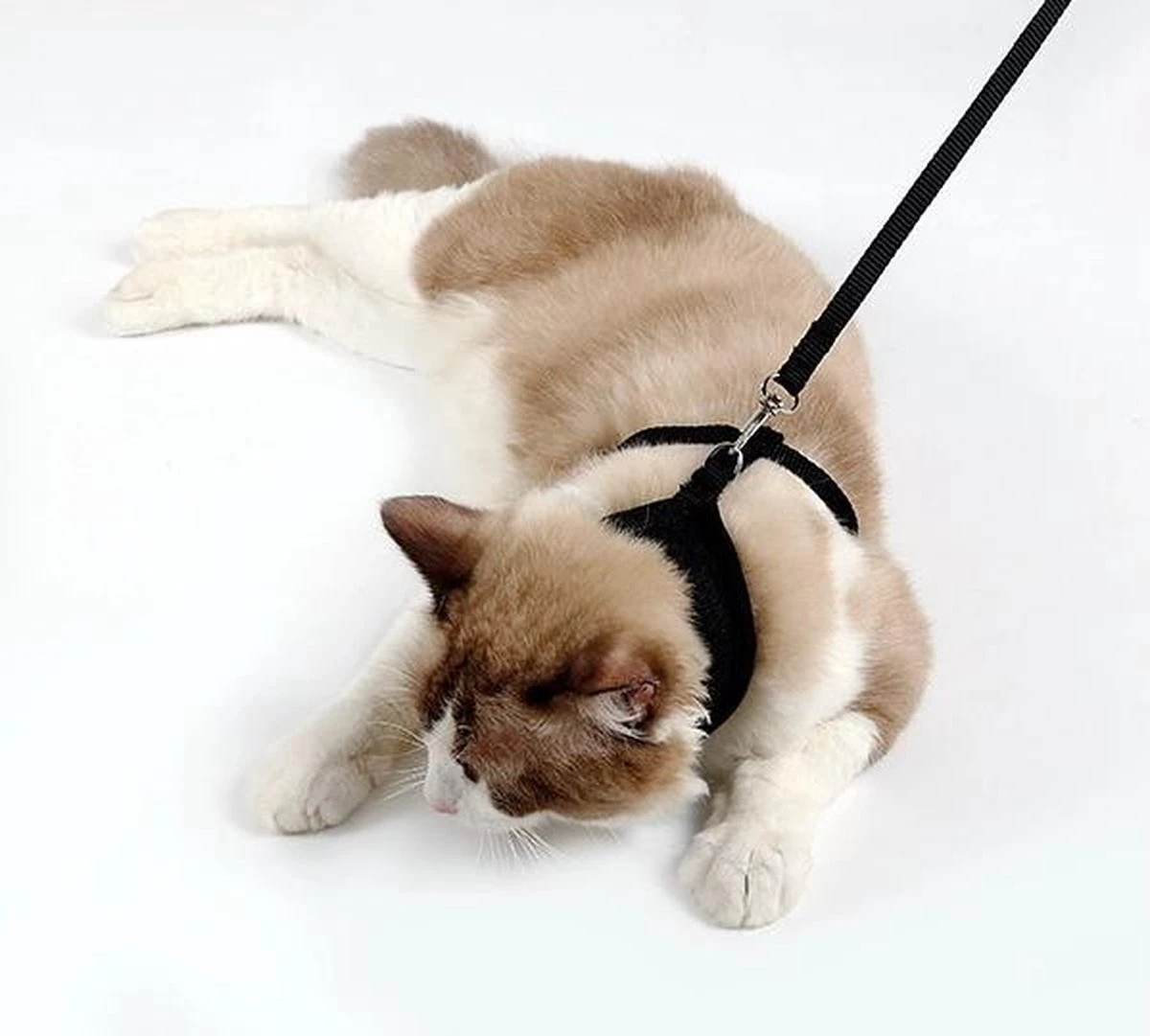 Kattenharnas - Harnas Voor Katten - Kattentuigje Met Looplijn - Zwart 4 Kattenharnas - Harnas Voor Katten - Kattentuigje Met Looplijn - Zwart - Image 2