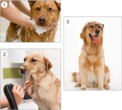 Waterblazer Hond - Hondendroger -Huisdierbenodigdheden Korting 1200x1083 1