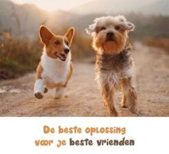 Dubbele Honden Riem – Leiband Hond – Hondenlijn – Looplijn Hond – 2 Honden – 3 Meter – Tot 12kg Per Hond – Reflecterende Lijnen – Met Zaklamp – 360° Draaien – Verstelbaar - Navy Blauw -Huisdierbenodigdheden Korting 1200x1087 2