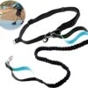 Hardloopriem Hond – Honden Riem Handsfree – Hardlopen Met Hond – 160-260 Cm Blauw - Hardloopband Hond – Halsband Hond – Hondenlijn – Leiband Hond -Huisdierbenodigdheden Korting 1200x1087 3