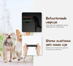 Hardloopriem Hond – Honden Riem Handsfree – Hardlopen Met Hond – 160-260 Cm Groen- Hardloopband Hond – Halsband Hond – Hondenlijn – Leiband Hond -Huisdierbenodigdheden Korting 1200x1087 8