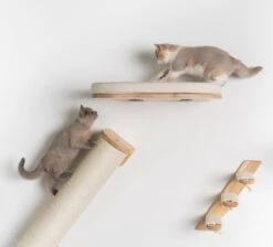 RHRQuality Wandmeubel Wandmontage Klimmuur Kat 53 X 43cm Luxe Kattenbed Creme Wand Muur Krabpaal Katten Muurbevestiging -Huisdierbenodigdheden Korting 1200x1090 12