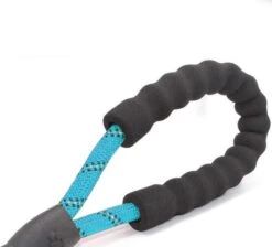 Comfortabele Hondenriem Met Gevoerd Handvat – Stevige Nylon Hondenlijn – Riem Voor Honden -Huisdierbenodigdheden Korting 1200x1090