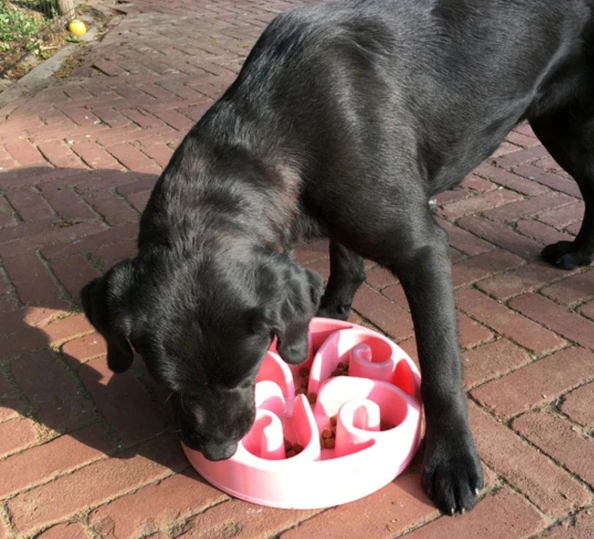 Eat Slow Live Longer Star Voerbak – Anti-schrok Voerbak – Slow Feeder Voor Honden – Anti-slip – Grijs – Ø30 Cm - Large/Extra Large – Geschikt Voor De Grotere Hond 4 Eat Slow Live Longer Star Voerbak – Anti-schrok Voerbak – Slow Feeder Voor Honden – Anti-slip – Grijs – Ø30 Cm - Large/Extra Large – Geschikt Voor De Grotere Hond - Image 2