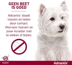 Bayer Advantix Vlooien & Teken Pipetten - Hond Tot 4Kg - 6 Stuks -Huisdierbenodigdheden Korting 1200x1091 4