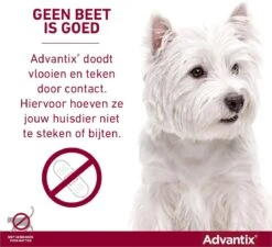 Bayer Advantix Spot-on 400/2000 25+ Kg - 4 Pipetten -Huisdierbenodigdheden Korting 1200x1091 5