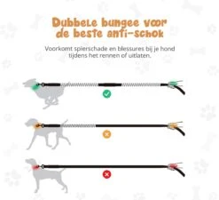 Hardloopriem Hond – Honden Riem Handsfree – Hardlopen Met Hond – 160-260 Cm Groen- Hardloopband Hond – Halsband Hond – Hondenlijn – Leiband Hond -Huisdierbenodigdheden Korting 1200x1093 2