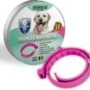 Natuurlijke Vlooienband Voor Honden - Roze - Teken En Vlooien - Zonder Schadelijke Pesticiden - Veilig En Verantwoord - Hondenbandje - Geur Halsband -Huisdierbenodigdheden Korting 1200x1095 10