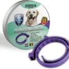 Vlooienband Voor Honden - Paars - 100% Natuurlijk - Vlooien En Teken - Geschikt Voor Alle Honden - Anti Allergie - Zonder Pesticiden -Huisdierbenodigdheden Korting 1200x1095 7
