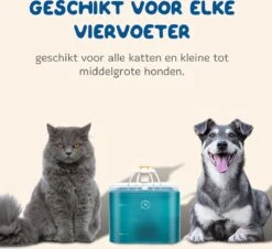 Pawwy® Drinkfontein Kat & Hond – Kattenfontein – Waterfontein Incl. 2 Filters En Schoonmaak Kit - 2 Liter - Groen 17 Pawwy® Drinkfontein Kat & Hond – Kattenfontein – Waterfontein Incl. 2 Filters En Schoonmaak Kit - 2 Liter - Groen -Huisdierbenodigdheden Korting 1200x1096 1