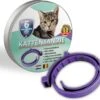 Natuurlijke Vlooienband - Katten - Paars - Zonder Giftige Pesticiden - 100% Natuurlijk - Vlooien En Teken - Milieuvriendelijk - Geur Halsband 2 Natuurlijke Vlooienband - Katten - Paars - Zonder Giftige Pesticiden - 100% Natuurlijk - Vlooien En Teken - Milieuvriendelijk - Geur Halsband -Huisdierbenodigdheden Korting 1200x1096 5