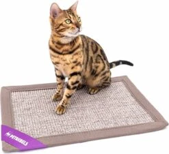 Petrebels Mastermat 60 Katten Krabmat - Cappuccino - 60 X 40 Cm - Zeer Sterk 19 Petrebels Mastermat 60 Katten Krabmat - Cappuccino - 60 X 40 Cm - Zeer Sterk -Huisdierbenodigdheden Korting 1200x1099 6