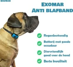 Exomar® Anti Blafband Voor Honden Blafband Anti Blaf Apparaat Blafband Zonder Schok - Diervriendelijk -Huisdierbenodigdheden Korting 1200x1101 5