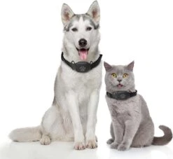 Reptrek® Minitrek GPS Tracker Voor Hond En Kat - Blauw - 4.9 X 3.3 X 1.5 Cm -Huisdierbenodigdheden Korting 1200x1104 3