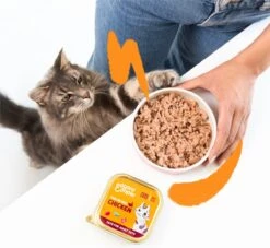 4x Edgard & Cooper Kattenvoer Adult Multipack Pate 8 X 85 Gr -Huisdierbenodigdheden Korting 1200x1105 11