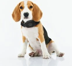 Reptrek® Minitrek GPS Tracker Voor Hond En Kat - Blauw - 4.9 X 3.3 X 1.5 Cm -Huisdierbenodigdheden Korting 1200x1106 10