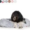 Snoozle Donut Hondenmand - Zacht En Luxe Hondenkussen - Wasbaar - Fluffy - Hondenmanden - 60cm - Lichtgrijs 1 Snoozle Donut Hondenmand - Zacht En Luxe Hondenkussen - Wasbaar - Fluffy - Hondenmanden - 60cm - Lichtgrijs -Huisdierbenodigdheden Korting 1200x1107 12