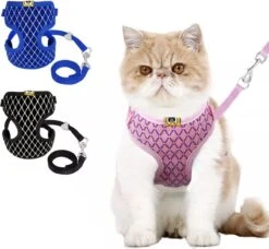 Merkloos Kattentuigje Met Looplijn - Kattenharnas - Kittentuigje - Kattenriem Met Looplijn - Kitten Tuigje Verstelbaar - Roze - Ixen 8 Merkloos Kattentuigje Met Looplijn - Kattenharnas - Kittentuigje - Kattenriem Met Looplijn - Kitten Tuigje Verstelbaar - Roze - Ixen -Huisdierbenodigdheden Korting 1200x1107 16