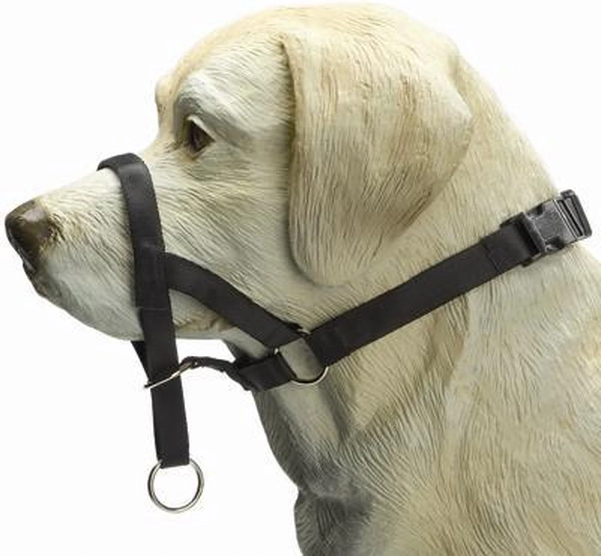 Beeztees Dog Control - Halsband Hond - Zwart - L 4 Beeztees Dog Control - Halsband Hond - Zwart - L - Image 2