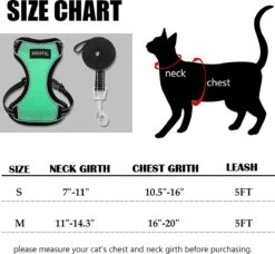 Kattentuigje Met Leiband Riem Kattenharnas Groen Maat L Kat & Kitten - Dieren Kattenriem - Cat Leash - Halsomvang 24 Tot 33cm - Borstomvang 36 Tot 41cm - Zootic® 12 Kattentuigje Met Leiband Riem Kattenharnas Groen Maat L Kat & Kitten - Dieren Kattenriem - Cat Leash - Halsomvang 24 Tot 33cm - Borstomvang 36 Tot 41cm - Zootic® -Huisdierbenodigdheden Korting 1200x1110 7